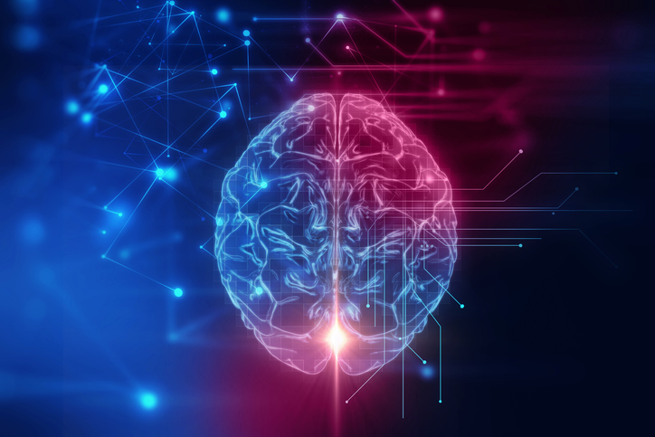 Digital brain