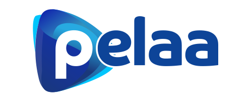 Pelaa casino review logo