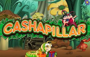 Cashapillar